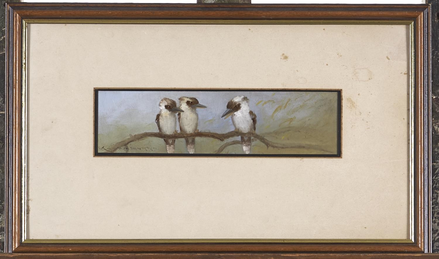Australian School, early 20th c - Three Kookaburras on a branch, indistinctly signed with