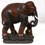 An unusually large South East Asian carved wood sculpture of an elephant, probably Indian Sub-