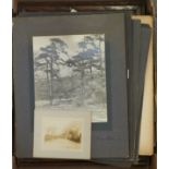 Miscellaneous late 19th and early 20th c mounted photographs, landscapes, mostly half and whole