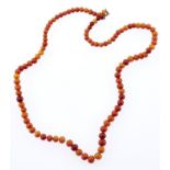 A necklace of amber beads, 11g