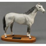 A Beswick model of Hunter from the Series of Connoisseur Horses, c1980, white, matt, wood base, 32cm
