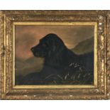 English School, 1903 - Black Labrador in a Landscape, signed with initials R L and dated, oil on