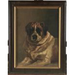A N Jackson, 19th / 20th c - A St Bernard Dog, signed, oil on canvas, 39.5 x 29cm and a portrait