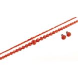 A necklace of coral beads, early 20th c, 5-15mm, silver clasp, another, smaller and one and a pair