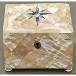 A Victorian mother of pearl and abalone tea caddy, c1840, on vegetable ivory feet, key, 11.5cm l