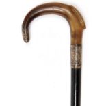 A silver mounted, horn handled, ebonised walking cane, early 20th c, brass tip, 91cm, hallmarked