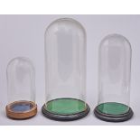 Three glass domes and turned wood bases, domes 25-45cm h Good condition