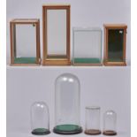 Four glass domes, largest 45cm h, wood bases and four glazed display cases (8) Good condition