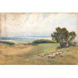 Clement Lambert (1854-1925) - The Coast of Sussex with Sheep on the Downs, signed, watercolour, 34 x