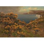 Alfred Oliver (1868-1943) - Common Gorse on a Coastal Cliff, signed, oil on board, 24 x 34cm Good