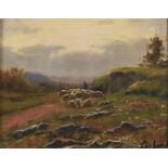 20th c School - Sheep on a Hill, bears signature, oil on canvas, 17 x 21.5cm A little dusty,