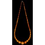 A necklace of amber beads, 55.4g Good condition