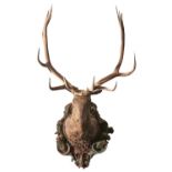 A magnificent polychrome wood deer head trophy of extraordinary size, Tyrolean or South German, late