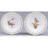 A pair of Rockingham botanical plates, 1826, pattern 578, finely painted with a rose or tulip in