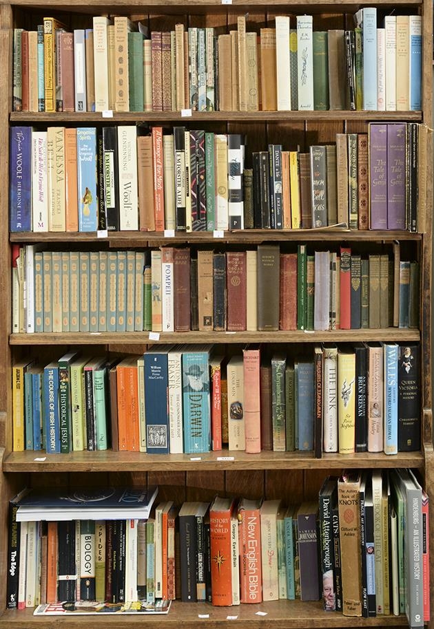 Five shelves of books, miscellaneous shelf stock