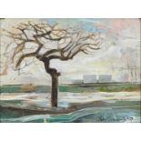 Peter Cumming RBA (1916-1993) - Tree in Poole Park, signed and dated 1977, inscribed verso, oil on