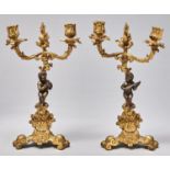 A pair of patinated and gilt bronze candelabra,  c1900, in 18th c style, of two lights on leafy