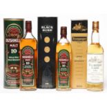 A Bushmills single malt Irish whisky, 10 years old, 1litre, 40%, in presentation tube, a Black