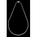 A cultured pearl necklace with ruby and diamond clasp, of 3.5-7mm cultured pearls, the clasp of
