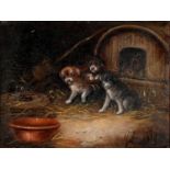 George Armfield (1808-1893) - Three Puppies with a Caged Rat, signed, oil on panel, 22 x 27cm Good