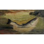 Follower of John Russell - Salmon; Trout, a pair, oil on canvas, 20.5 x 35.5cm Both in good original