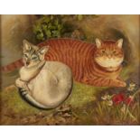 H D Emmons, 20th century - A Ginger Cat and its Siamese Companion,  signed, oil on canvas, 39.5 x