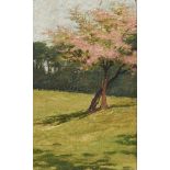 Thomas Meldrum (1846-1900) - Spring Blossom, oil on artist's board, 22 x 14cm Some separation, pin
