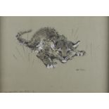 Ralph Thompson (Fl. 20th c) - Snow Leopard Kitten, 1962, signed and inscribed, black and white chalk