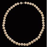 A cultured pearl single row choker necklace, with gold clasp, 20.2g Good quality and condition