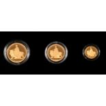 Gold coin. Alderney proof fine gold sovereign three coin set 2019