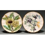 Two Cantagalli shaped circular faience plates, one painted with horse chestnuts, the other with
