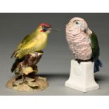 A Royal Crown Derby model of a green woodpecker and a Rosenthal model of a parrot on a pedestal,