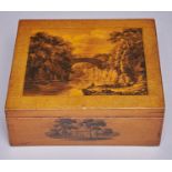 A Scottish sycamore and penwork box, c1830,  the lid decorated with a bridge over a gorge with an