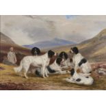 After C G Roe - Setters in a Highland Landscape, oil on canvas, 53 x 74cm Gilt frame. Patched and