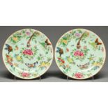 A pair of Chinese Canton famille rose celadon ground plates, 19th c, 25.5cm diam Good condition