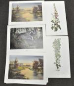 A large collection of Dorothea Hyde signed limited edition prints, to include floral studies,