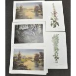 A large collection of Dorothea Hyde signed limited edition prints, to include floral studies,