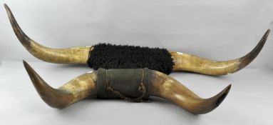 Two pairs of Buffalo/Bison horns one with naturalistic faux fur middle,