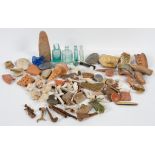 A large collection of assorted fossils and antiquity items, including part mosaic, clay pipes,