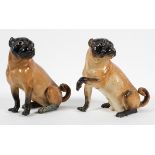 A Meissen (outside decorated) Pug and a Pug bitch, late 19th century, blue crossed sword marks,