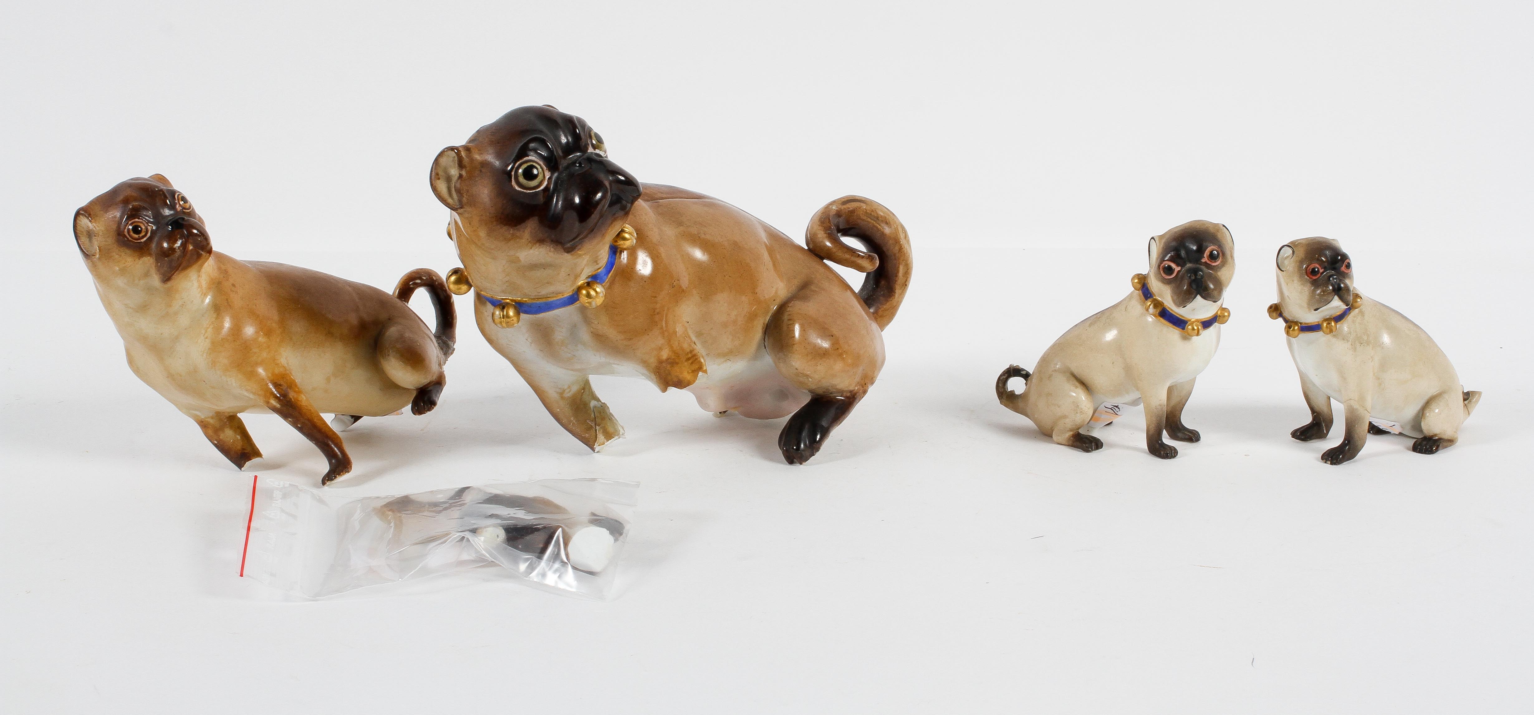 A Meissen (outside decorated) model of a Pug with a blue and gilt bell collar,