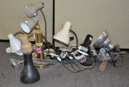 A selection of desk lamps,