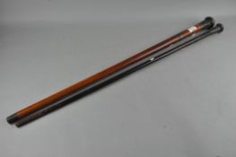 A silver mounted walking cane,