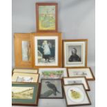 A quantity of pictures, all framed and glazed,