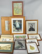 A quantity of pictures, all framed and glazed,