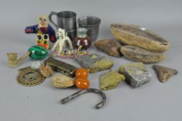 A collection of fossils and other items, various shapes and sizes, together with other items,