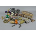 A collection of fossils and other items, various shapes and sizes, together with other items,