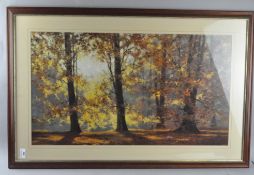 A large 20th century David Shepherd print depicting an autumnal woodland, framed and glazed,