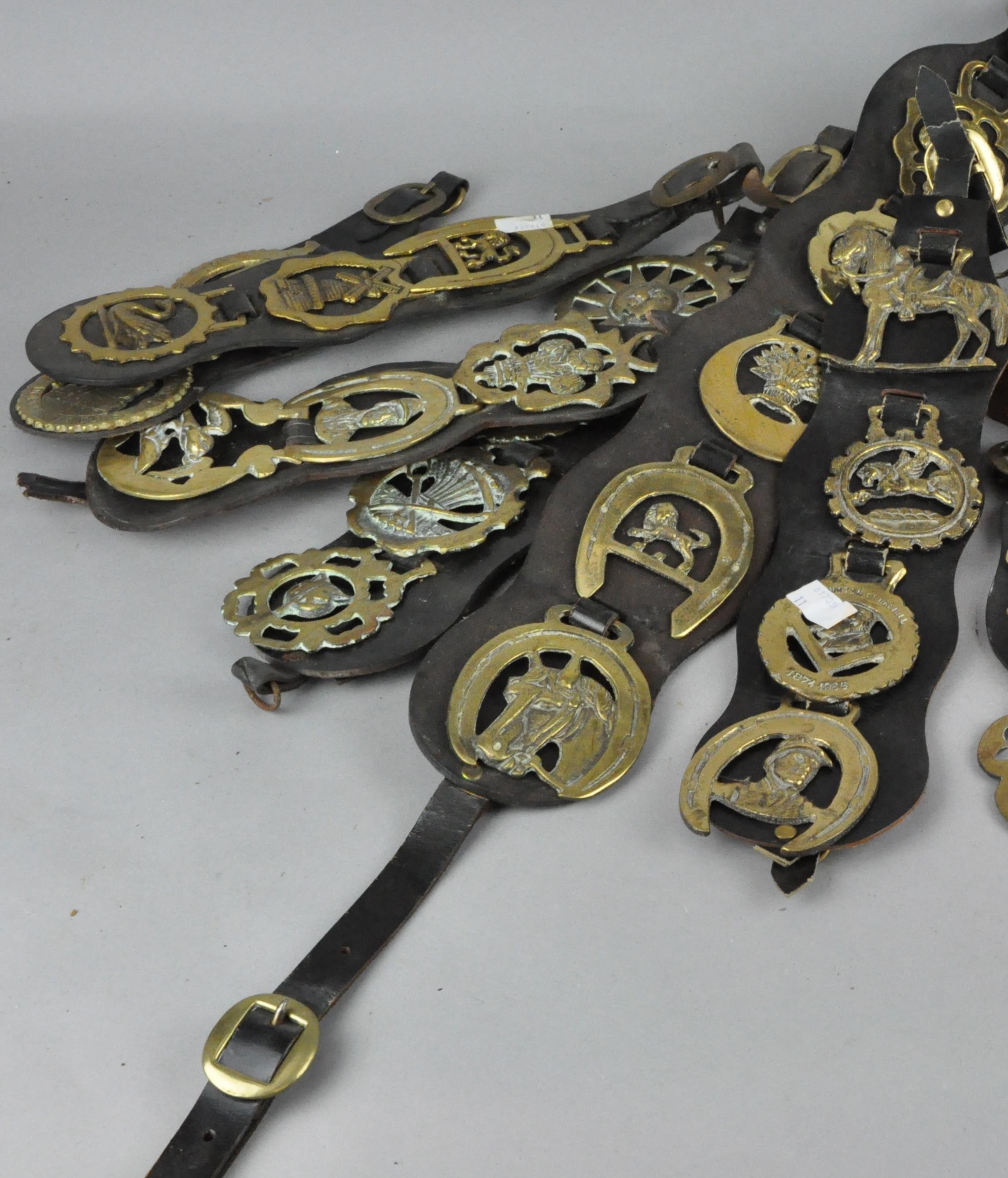 A group of horse brasses, mounted on leather straps,