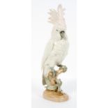 A Royal Dux Czech ceramic cockatoo, on a naturalistic base, marked to underside,